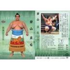 Yahoo! Yahoo!ショッピング(ヤフー ショッピング)中古BBM 16[レギュラーカード]：碧山 亘右