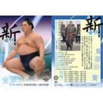 Yahoo! Yahoo!ショッピング(ヤフー ショッピング)中古BBM 81[レギュラーカード]：貴源治 賢