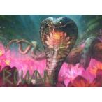 中古アニメ系トレカ 71/81：水連のコブラ(アーティスト金箔押しサイン入り)