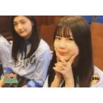  б/у life photograph ( женщина ) 346:.. становится Tohoku производство / глициния . прекрасный море /.. становится life photograph 