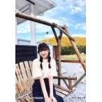 中古生写真(AKB48・SKE48) 藤崎未夢/膝上/NGT48 メン