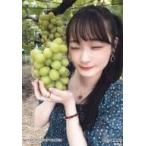中古生写真(AKB48・SKE48) 諸橋姫向/バストアップ/NGT