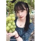 中古生写真(AKB48・SKE48) 諸橋姫向/バストアップ/NGT