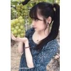 中古生写真(AKB48・SKE48) 諸橋姫向/上半身/NGT48 メ