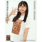 中古生写真(AKB48・SKE48) 折坂心春/YR-1097/CD「恋な