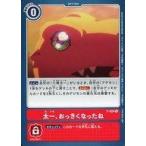 中古デジモンカードゲーム P-024[P]：太一、おっきくなったね