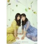 中古生写真(AKB48・SKE48) 2：清水里香・安田桃寧/写
