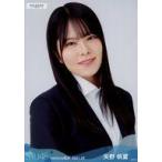 中古生写真(AKB48・SKE48) 矢野帆夏/バストアップ/STU