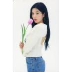 中古コレクションカード(女性) 61：IZ*ONE/クォン・ウンビ/「ONLINE CONCERT ONE， THE STORY」トレーディングカード