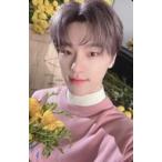 中古コレクションカード(男性) SEVENTEEN/DINO(ディノ)/CD「Your Choice」(ONE SIDE Ver.)封入特典フォトカード