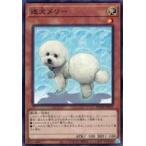 中古遊戯王 BODE-JP035 [NR]：迷犬メリー