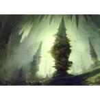 中古アニメ系トレカ 55/81：Forest