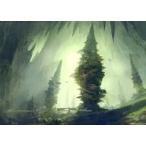 中古アニメ系トレカ 55/81：Forest(アーティスト金箔押しサイン入り)
