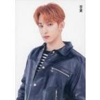 中古コレクションカード(男性) 114：SEVENTEEN/DK(ドギョム)/ノーマルカード/「SEVENTEEN 2021 JAPAN SPECIAL F