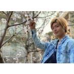 中古生写真(男性) IVVY/KENTO.i/横型/「WINK〜Release party〜」ランダムブロマイド