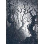 中古アニメ系トレカ 80/81：Forest