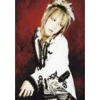 中古生写真(男性) ウ゛ィドール/ジ�