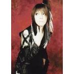 中古生写真(男性) ウ゛ィドール/シ�