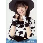 中古生写真(AKB48・SKE48) 渡辺菜月/上半身/STU48 202