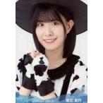 中古生写真(AKB48・SKE48) 渡辺菜月/バストアップ/STU