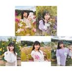 中古生写真(AKB48・SKE48) ◇藤崎未夢/NGT48 2021年11