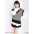 中古生写真(AKB48・SKE48) 安藤千伽奈/膝上/NGT48 202