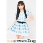 中古生写真(AKB48・SKE48) 赤堀君江/膝上/SKE48 新世