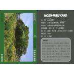 中古公共配布カード M9(Ver02_202009)：永山古墳