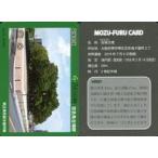 中古公共配布カード M16(Ver02_202009)：収塚古墳