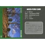 中古公共配布カード M24(Ver02_202009)：狐山古墳