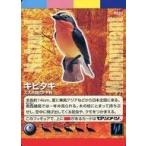 中古アニメ系トレカ 0051：キビタキ