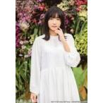 中古生写真(AKB48・SKE48) (3)：小見山沙空/CD「ポン