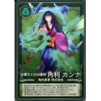 中古企業カード 日曜大工の伝道師 角利 カンナ