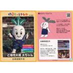 ���Ì����z�z�J�[�h YC-062[�����s]�F�Ǎ����卪 �傿���