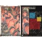 ショッピングクイーンズブレイド 中古アニメ系トレカ Qi03：Echidna