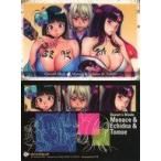 ショッピングクイーンズブレイド 中古アニメ系トレカ Qi09：Menace＆Echidna＆Tomoe