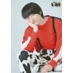 ���Ð��ʐ^(�j��) �a�c�됬(�S�[�����)/�G��/�u�f�扉�� �T�N�Z�X�� �`�N���� S �Ɛ����E�̊�Ձ`�v�u���}�C�h