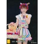 中古生写真(AKB48・SKE48) 熊崎晴香/2021/10/13 熊崎