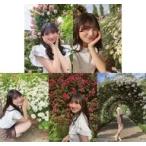 中古生写真(AKB48・SKE48) ◇藤崎未夢/NGT48 2022年7月