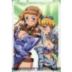 中古アニメ系トレカ i01：レイナ＆エリナ