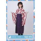  б/у life photograph ( Nogizaka 46) сосна рисовое поле . цветок / все тело / город Хюга склон 46 Random life photograph [ Taisho .. костюм ]