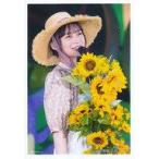 中古生写真(坂道シリーズ) No.13：鈴木絢音/CHOOSE 5 