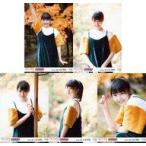 中古生写真(AKB48・SKE48) ◇山田野絵/「2017.NOV.」「