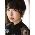 中古生写真(女性) 芝崎典子/1st写真集「のりこめ! インフォスクエア限定版」特典ブロマイド