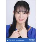 中古生写真(坂道シリーズ) 向井葉月/バストアップ・ベ