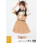 中古生写真(AKB48・SKE48) 井上瑠夏/膝上/SKE48 2023