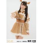 中古生写真(AKB48・SKE48) 篠原京香/膝上/SKE48 2023