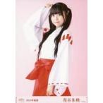 中古生写真(AKB48・SKE48) 長谷朱桃/膝上/2024年 NGT4