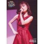 中古生写真(AKB48・SKE48) 新澤菜央/ライブフォト/13t