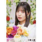 中古生写真(AKB48・SKE48) 小濱心音/CD「カラコンウイ